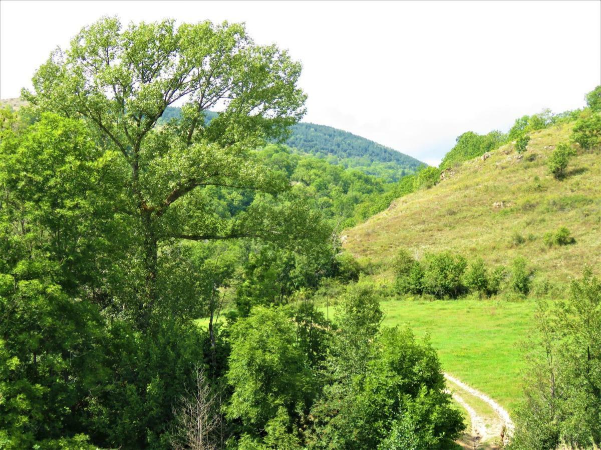 Vaque Villeneuve Des Escaldes Angoustrine Ngoại thất bức ảnh